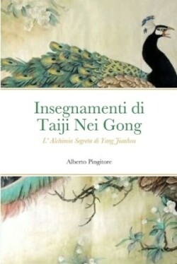 Insegnamenti di Taiji Nei Gong