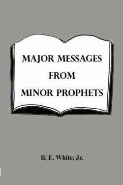 Major Messages from Minor Prophets