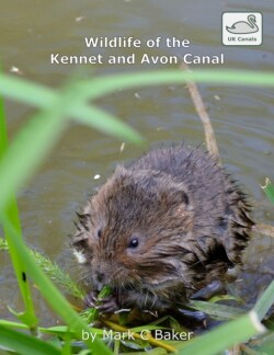 Wildlife of the Kennet and Avon Canal