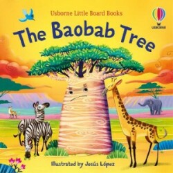 Baobab Tree