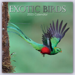 Exotik Birds - Exotische Vögel 2023 - 16-Monatskalender