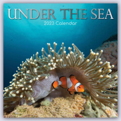 Unter the Sea - Tropische Fische 2023 - 16-Monatskalender
