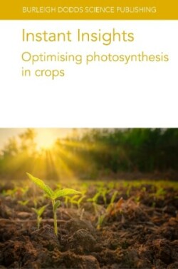 Instant Insights: Optimising Photosynthesis in Crops