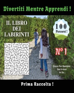 Il Libro Dei Labirinti