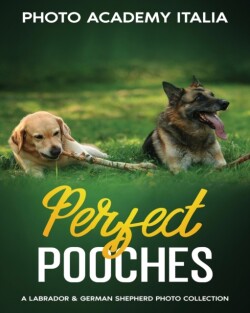 Perfect Pooches