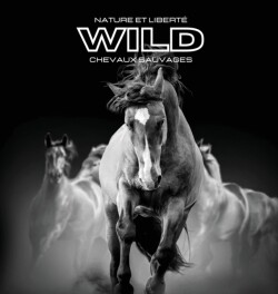 Nature et Liberte WILD Chevaux Sauvages