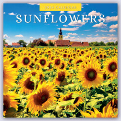 Sunflowers 2024 Square Wall Calendar