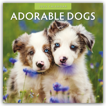 Adorable Dogs 2025 Square Wall Calendar