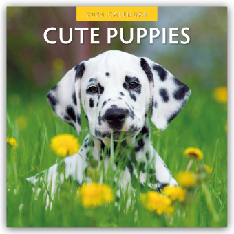 Cute Puppies 2025 Square Wall Calendar