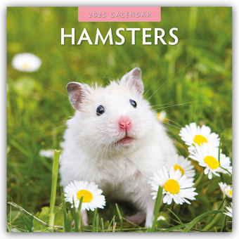 Hamsters 2025 Square Wall Calendar