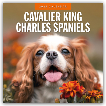 Cavalier King Charles Spaniel 2025 Square Wall Calendar