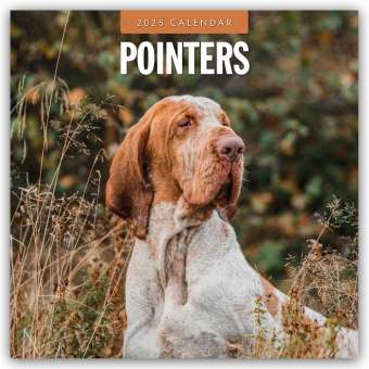 Pointers 2025 Square Wall Calendar