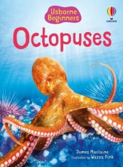 Beginners Octopuses