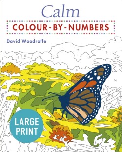 Large Print Calm Colour-by-Numbers