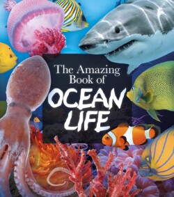 Amazing Book of Ocean Life