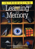 Introducing Learning and Memory