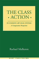 Class Action in Common Law Legal Systems