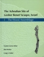 Acheulian Site of Gesher Benot Ya'akov, Israel