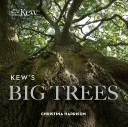 Kew's Big Trees