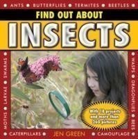 Find Out About Insects