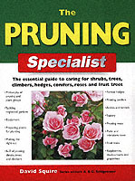 Pruning Specialist