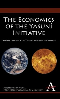 Economics of the Yasuní Initiative