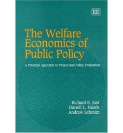 Welfare Economics of Public Policy