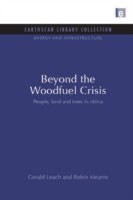 Beyond the Woodfuel Crisis