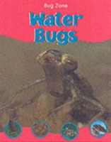 BUG ZONE WATER BUGS