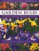 Complete Practical Handbook of Garden Bulbs