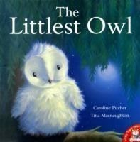 Littlest Owl