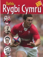 Hwyl Gŵyl: Dathlu Rygbi Cymru