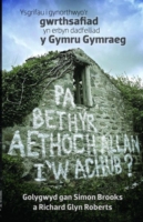 Pa Beth yr Aethoch Allan i'w Achub