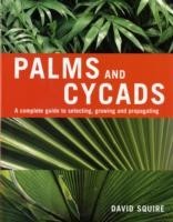 Palms and Cycads