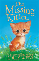 Missing Kitten