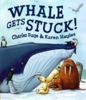Whale Gets Stuck!