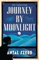 Journey by Moonlight