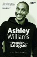 Ashley Williams - My Premier League Diary