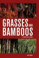 Grasses and Bamboos