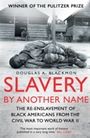 Slavery by Another Name