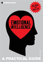 Introducing Emotional Intelligence