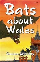 Bats About Wales