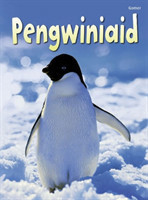 Cyfres Dechrau Da: Pengwiniaid