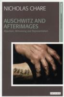 Auschwitz and Afterimages