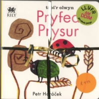 Pecyn Nos Da a Pryfed Prysur