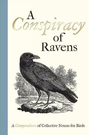 Conspiracy of Ravens A Compendium of Collective Nouns for Birds