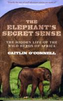 Elephant's Secret Sense