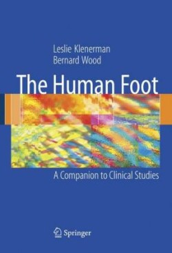 Human Foot