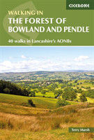 Walking in the Forest of Bowland and Pendle