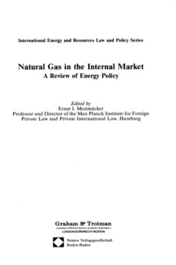 Natural Gas in the Internal Market:A Review of Energy Policy